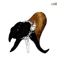 Coil - Black Antlers